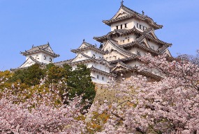 Explore a Japanese castle