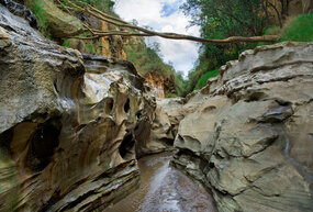 Visit Hell Gate National Park