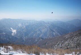 Trek or ski in Pyeongchang